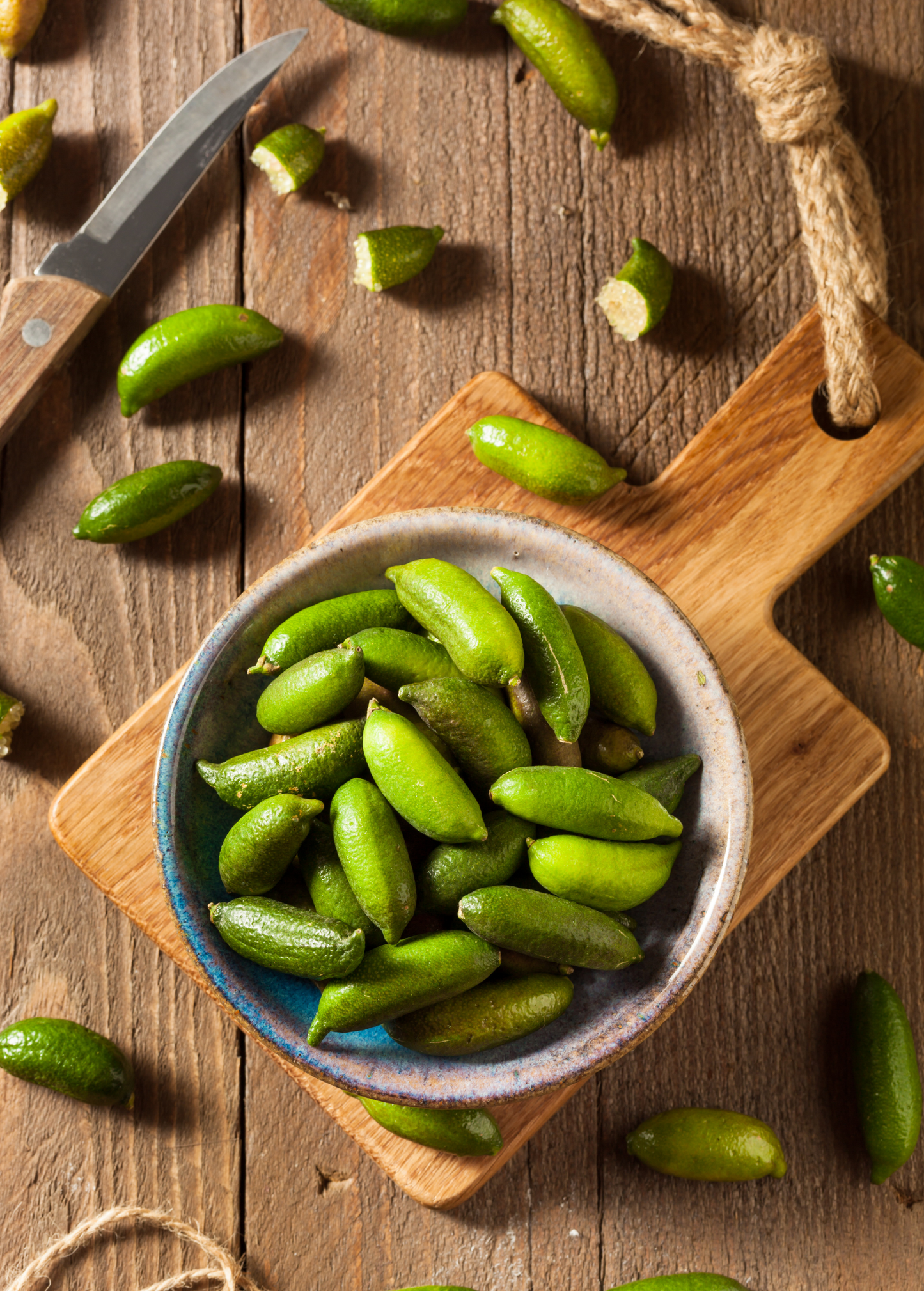 Green Finger Lime Tree (Citrus australasica)