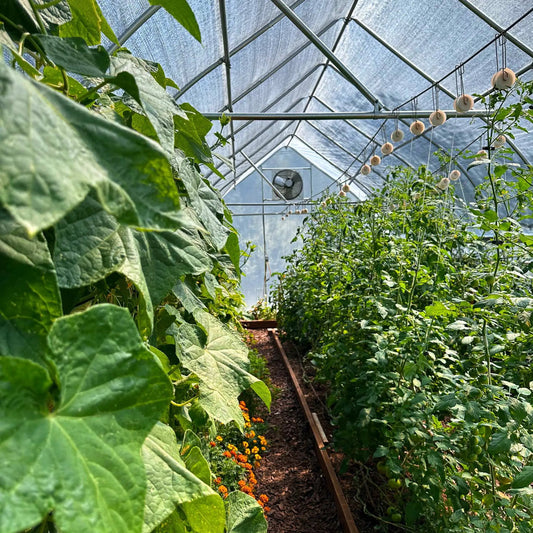 Greenhouse Shutter Mount Exhaust Fans for Hoop House - Tampa Home & Garden Store