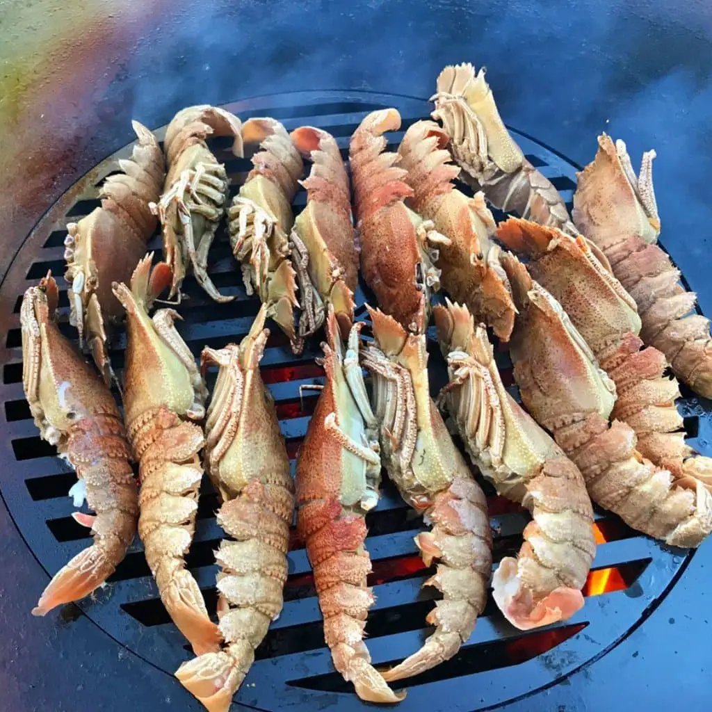 Grill Grate for 30 Inch Arteflame Grills with several crustaceans on round grill on Tampa Home & Garden Store