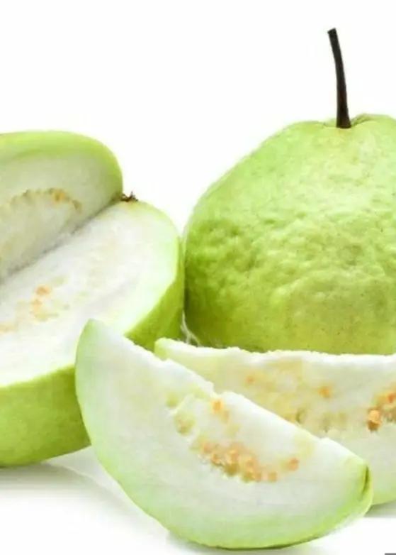 Guava Thai White fruit slices with green rind and white flesh, tropical fruit on Tampa Home & Garden Store
