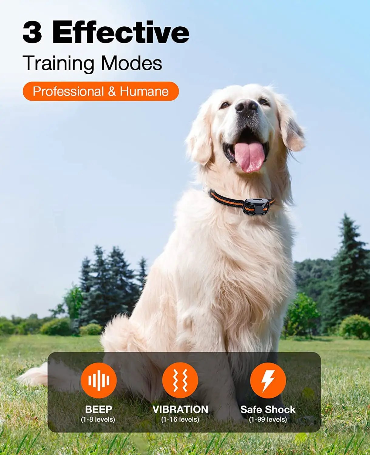 NovaPace Remote Dog Training Collar 1000m waterproof black/orange collar on Tampa Home & Garden Store