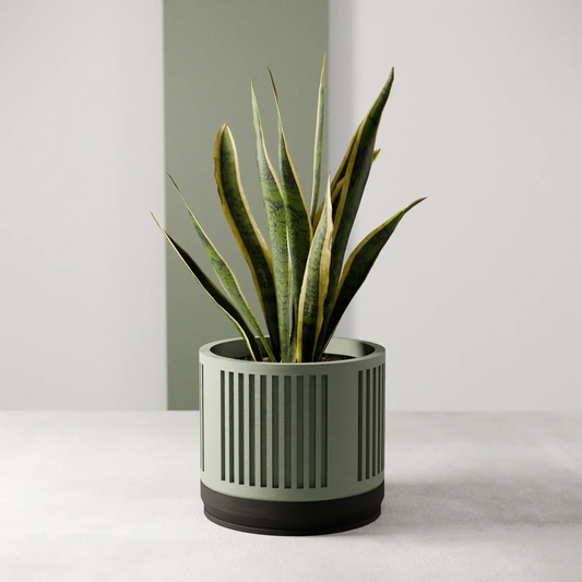 Heritage Planter by Modernized Pottery, sage green slatted cylinder with black base, snake plant on Tampa Home & Garden Store