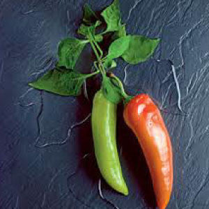 HOT PEPPER Seeds, Anaheim Chili - Tampa Home & Garden Store