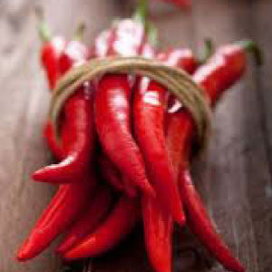 HOT PEPPER Seeds, Cayenne - Tampa Home & Garden Store