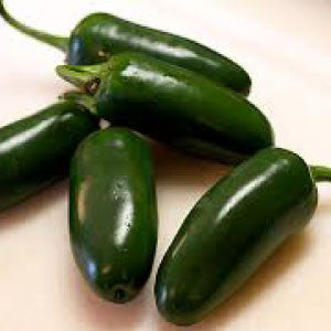 HOT PEPPER Seeds, Jalapeño - Tampa Home & Garden Store