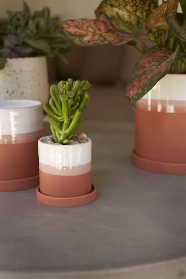 Hadley Pot - Tampa Home & Garden Store