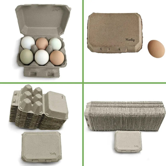 Half-dozen egg cartons blank flat-top in white tan with Henlay logo, stacked packs on Tampa Home & Garden Store