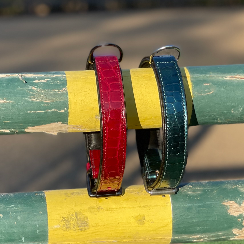 Halter Ego® Breanna Red Croc Leather Dog Collar - Tampa Home & Garden Store