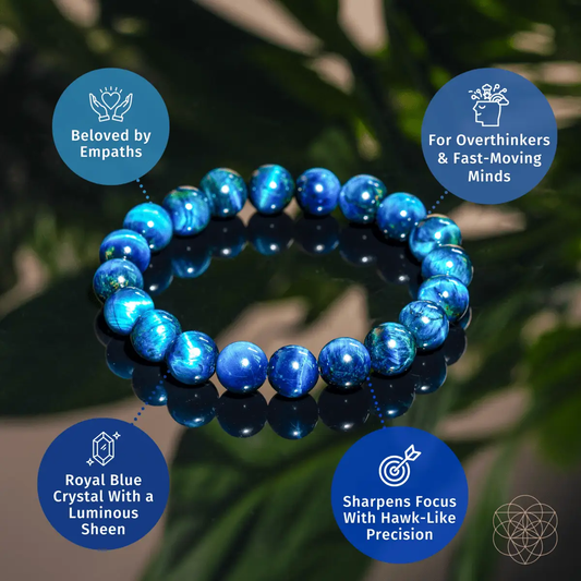 Bracelet Hawk’s Focus Royal Blue Tiger Eye beads by Conscious Items with a luminous blue sheen on Tampa Home & Garden Store