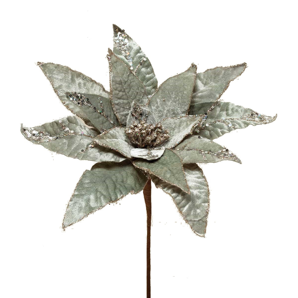 Heirloom Poinsettia Stem - Champagne - Tampa Home & Garden Store
