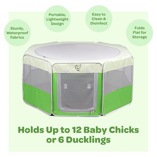 My Pet Chicken Hen Pen Pop Up Brooder portable green holds 12 chicks or 6 ducklings on Tampa Home & Garden Store