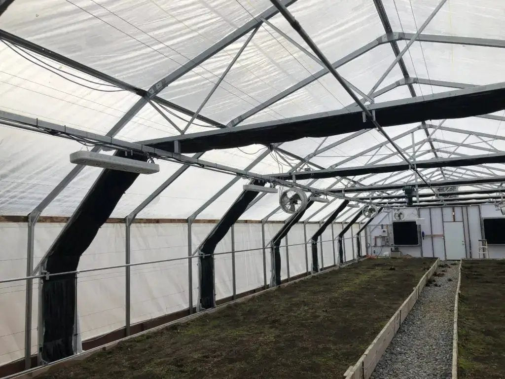 High Diffusion 6 Mil Open UV Greenhouse Plastic inside a metal-framed greenhouse with vents on Tampa Home & Garden Store