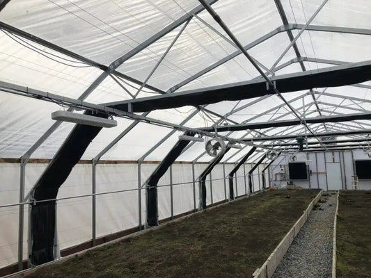 6 mil Greenhouse Plastic | High Diffusion UV - Tampa soil911.com