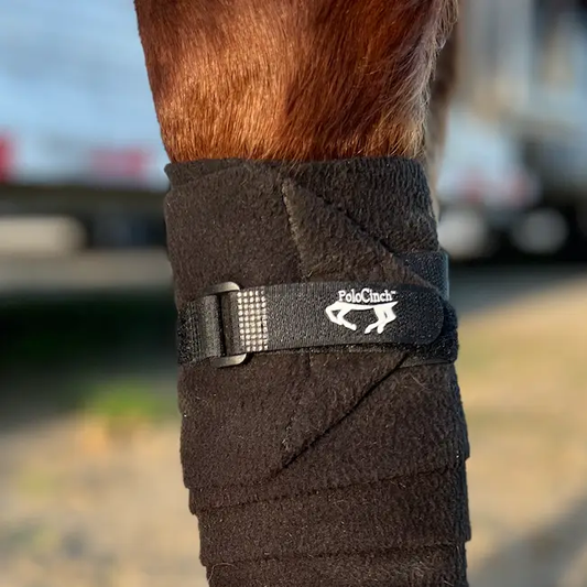 PoloCinch Polo Wrap Guards for Horses, fleece leg wrap with Velcro strap and PoloCinch logo on Tampa Home & Garden Store