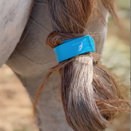 Horse TailCinch™ Equine Tail Ties - Tampa Home & Garden Store