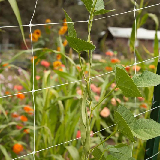 Hortonova Garden Trellis (4' x 1000') - Tampa Home & Garden Store