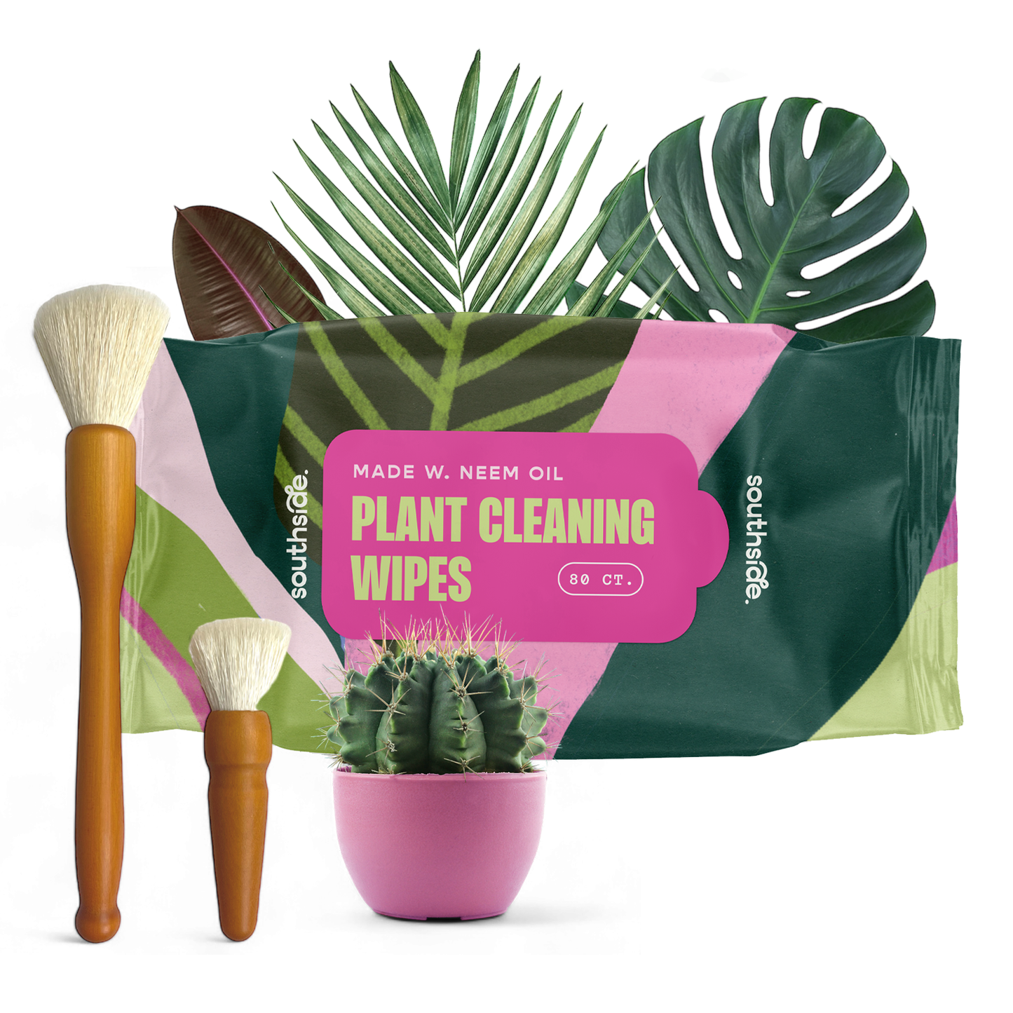 Houseplant Cleaning Wipes - Tampa Home & Garden Store