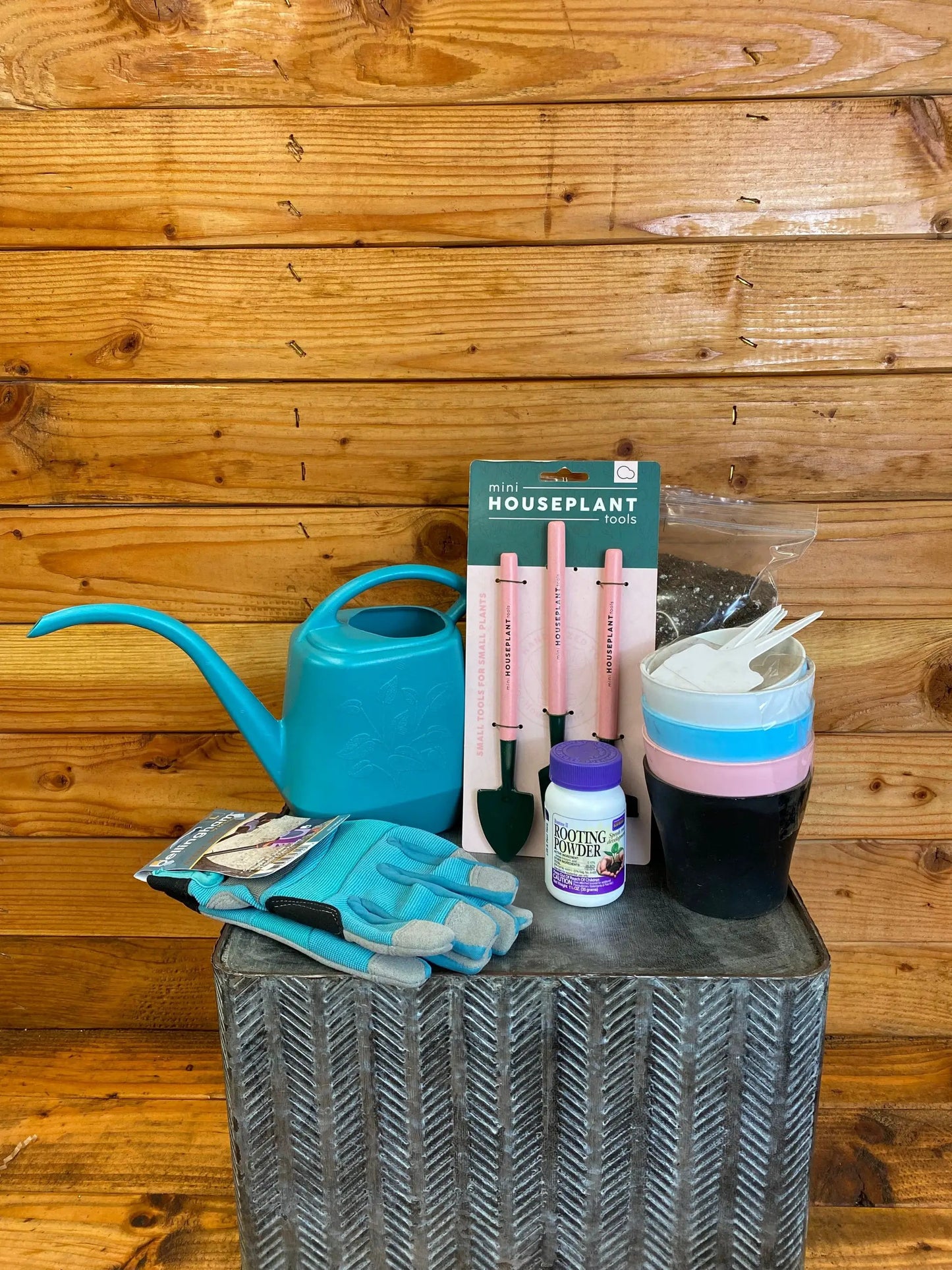 Houseplant Starter Box Growing Kit - Tampa Home & Garden Store