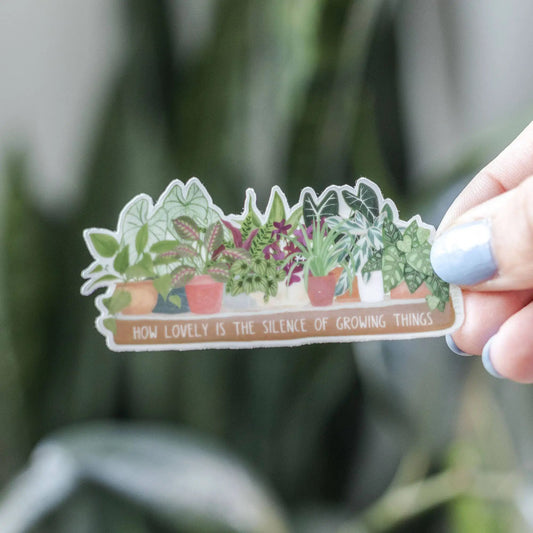 Houseplant clear decal sticker for laptops with plant designs Terra Cotta Botanical Boutique on Tampa Home & Garden Store