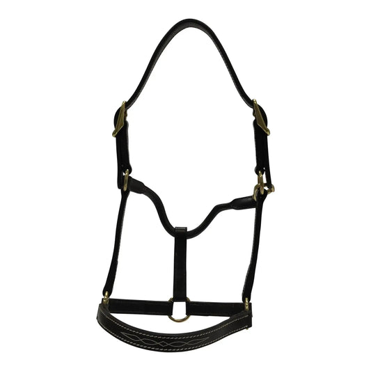 Huntley Equestrian premium leather pony halter with brass hardware in black on Tampa Home & Garden Store