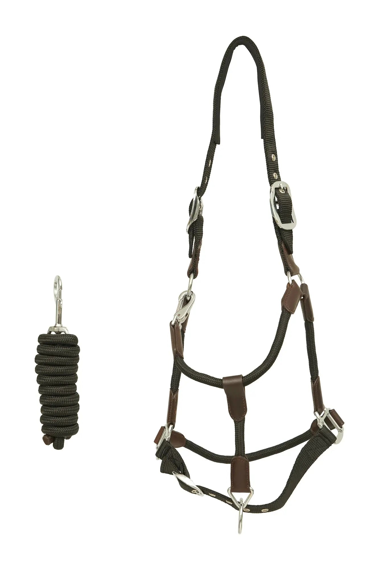 Huntley Nylon Halter and Removable Lead with Snap, Black - Tampa Home & Garden Store
