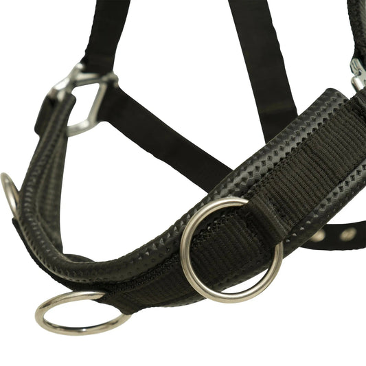 Huntley Nylon Padded Lunging Caveson, Black - Tampa Home & Garden Store
