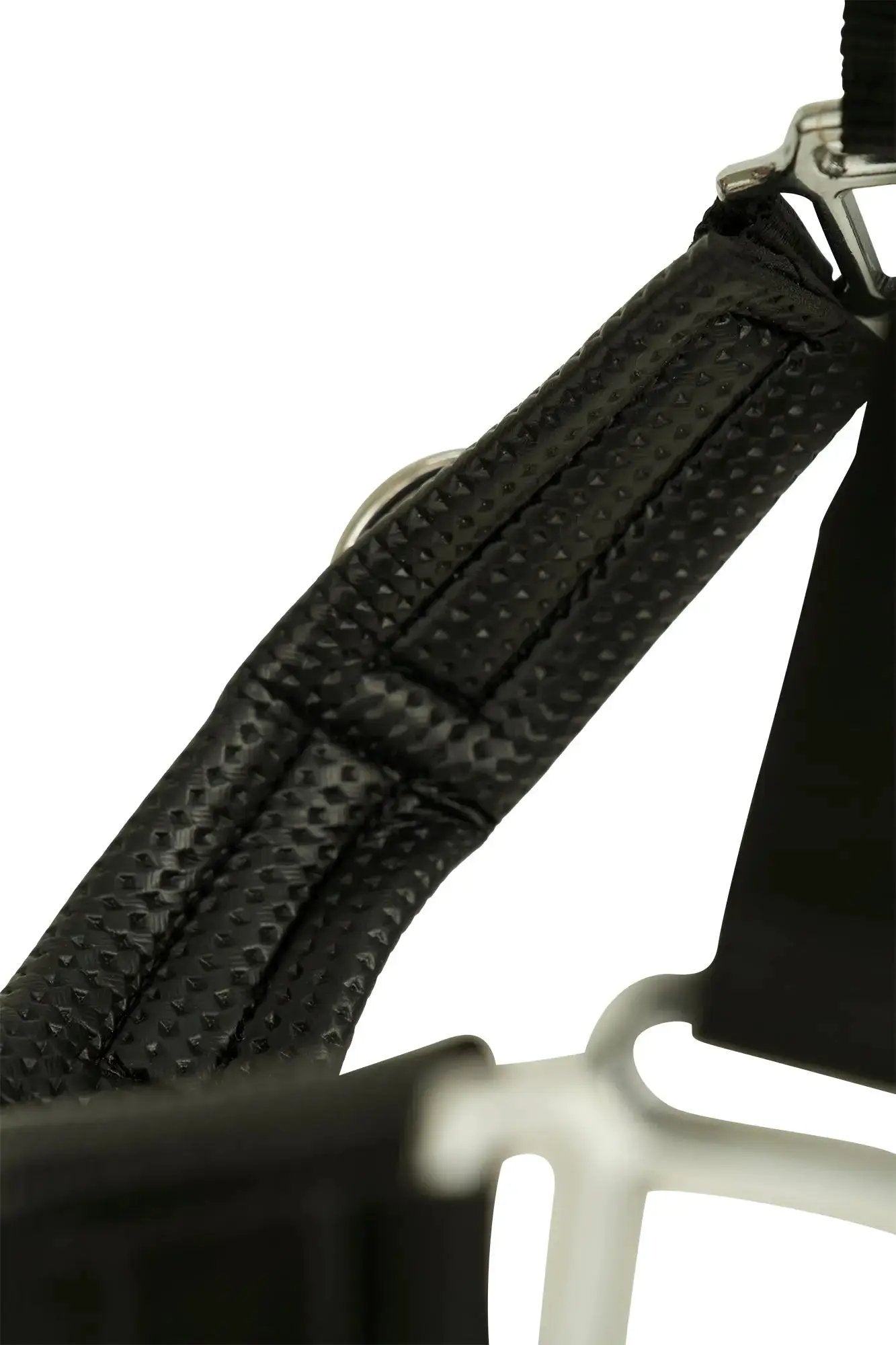 Huntley nylon padded lunging caveson, black, textured nylon strap with metal hardware on Tampa Home & Garden Store