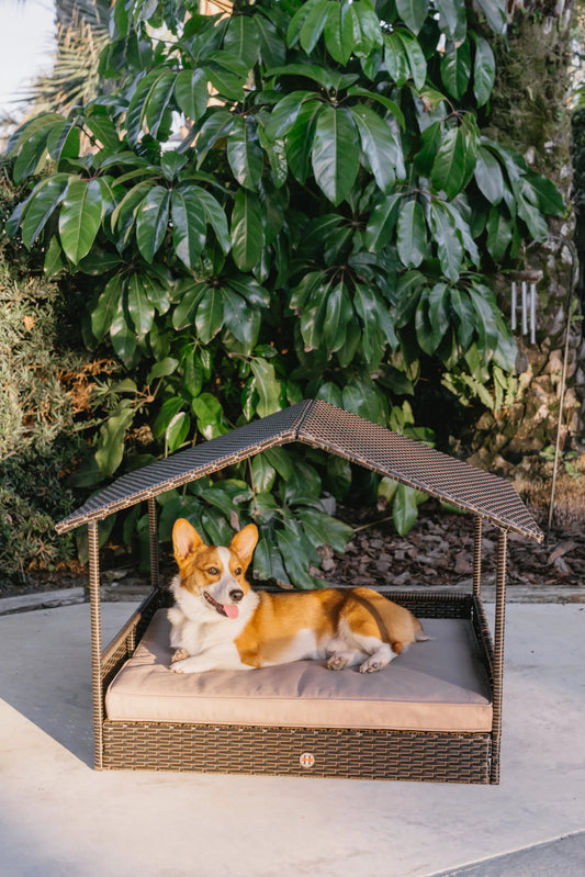 Huntley Pet Rattan Wicker Indoor Outdoor Cabana Raised Pet Bed - Tampa Home & Garden Store