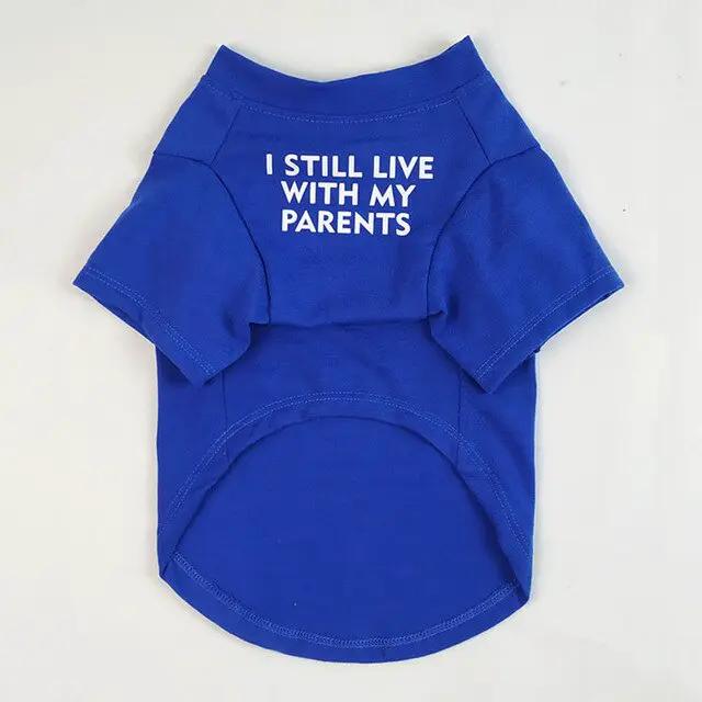 Blue cotton T-shirt with white I STILL LIVE WITH MY PARENTS text, short sleeves on Tampa Home & Garden Store