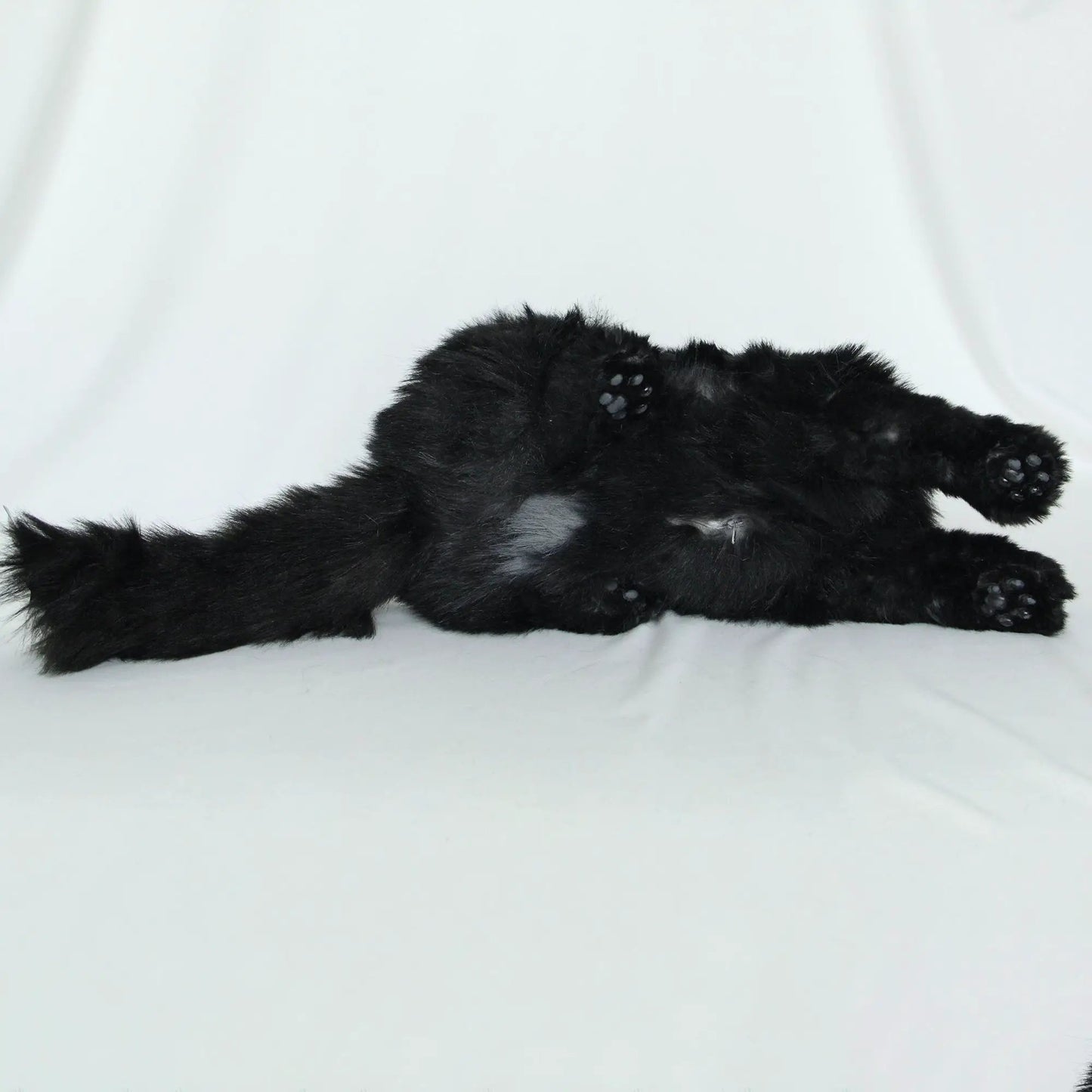 Black Cat Longhaired Companion plush by Chongker with visible paw pads on Tampa Home & Garden Store