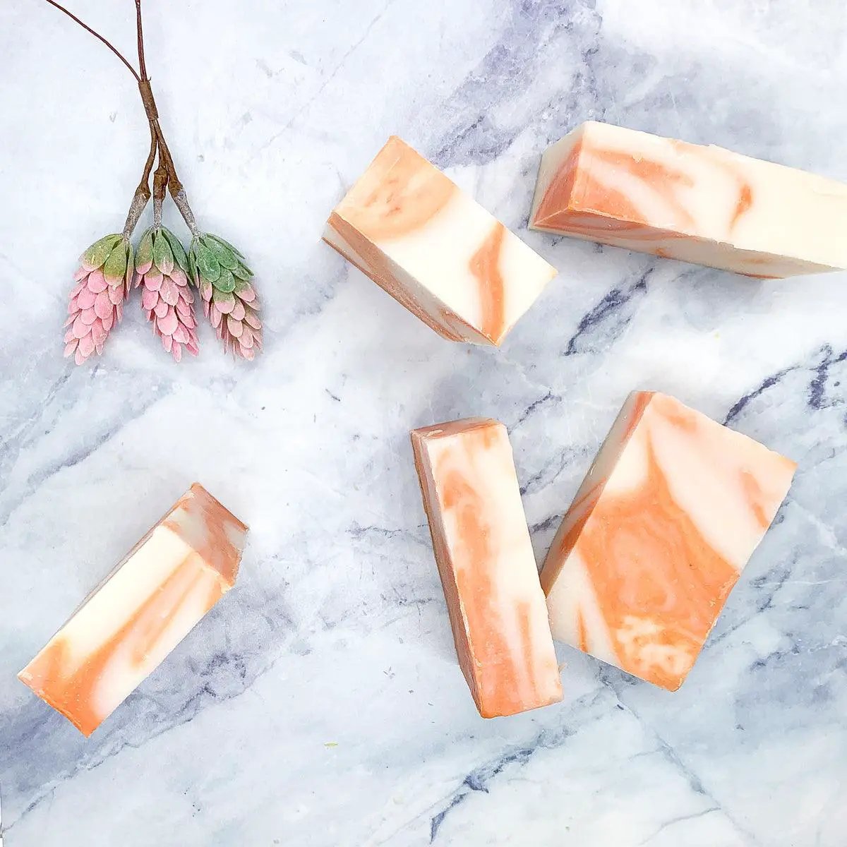 Summertime Citrus - Tampa Home & Garden Store