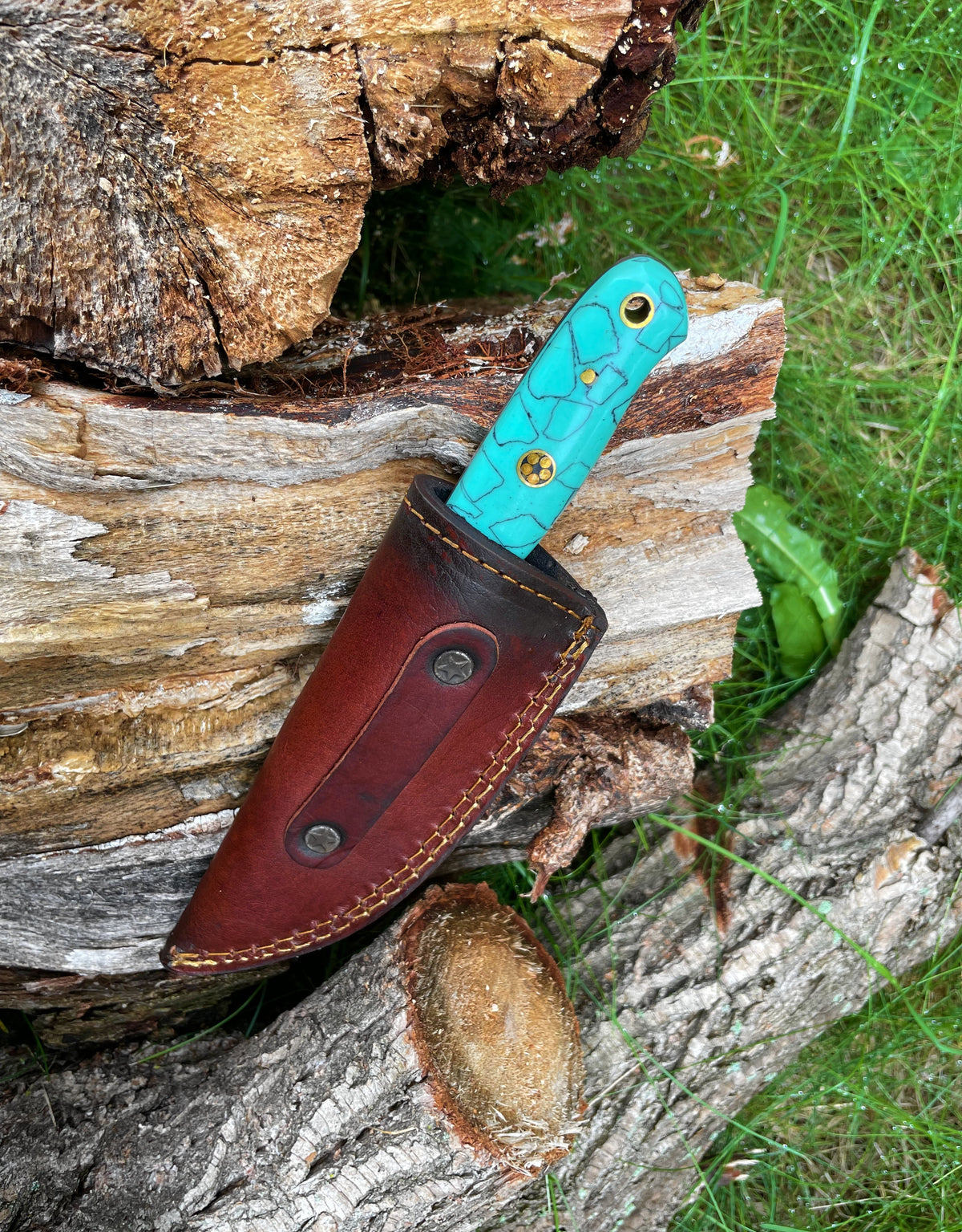 Damascus steel hunting knife TK-016 Titan K with turquoise acrylic scales on Tampa Home & Garden Store