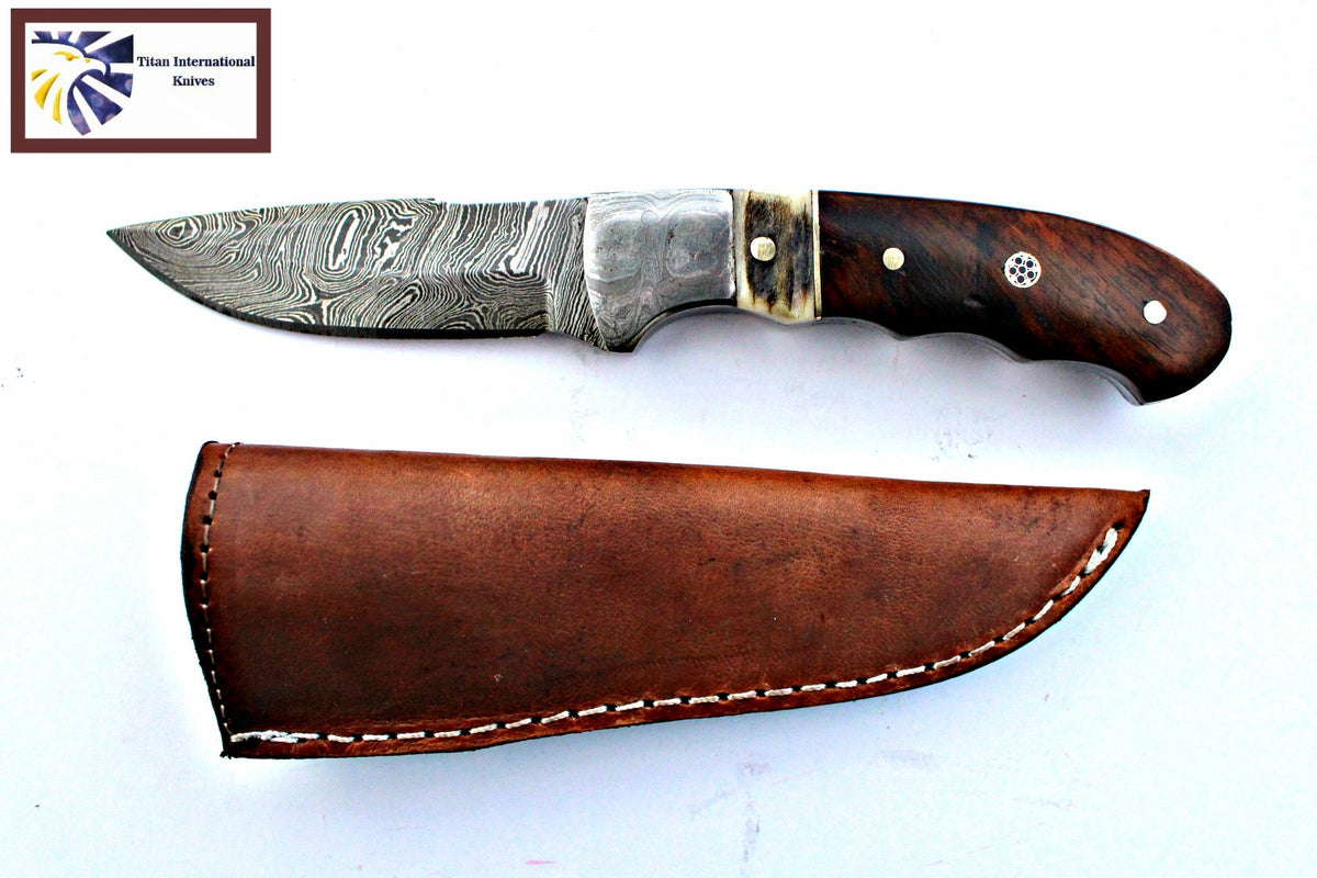 Damascus fixed blade knife TD-159 with walnut & stag horn handle Titan Knives leather sheath on Tampa Home & Garden Store