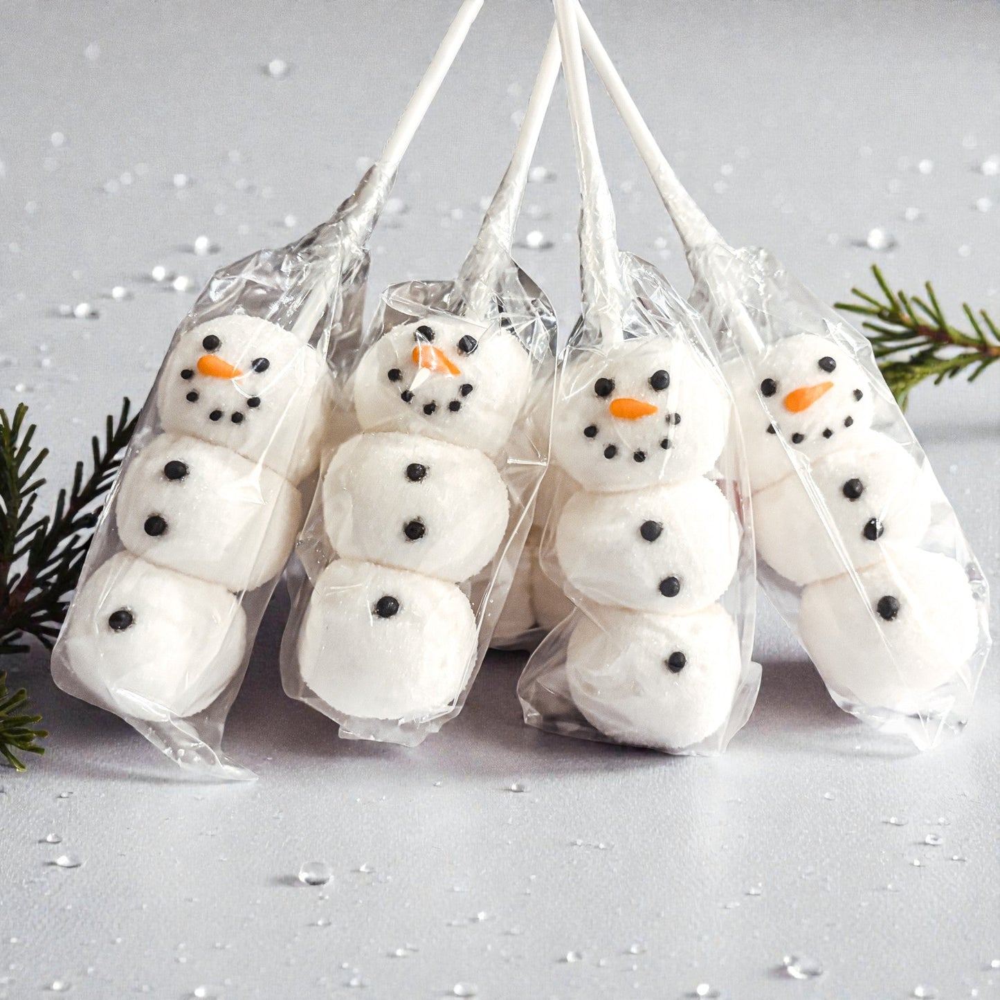 - image on Tampa Home & Garden Store