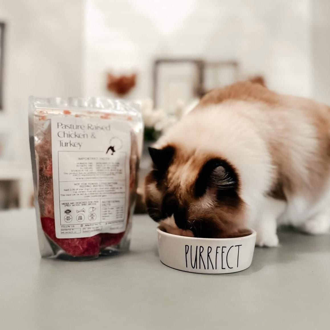 Raw Instincts PMR chicken & turkey meal blend for pets in a bag beside a PURRFECT cat bowl on Tampa Home & Garden Store