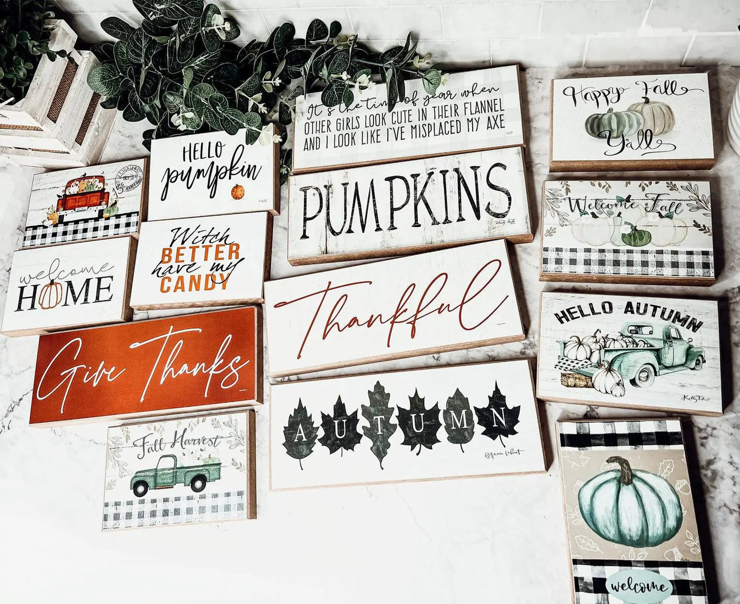 Pumpkins - Tampa Home & Garden Store