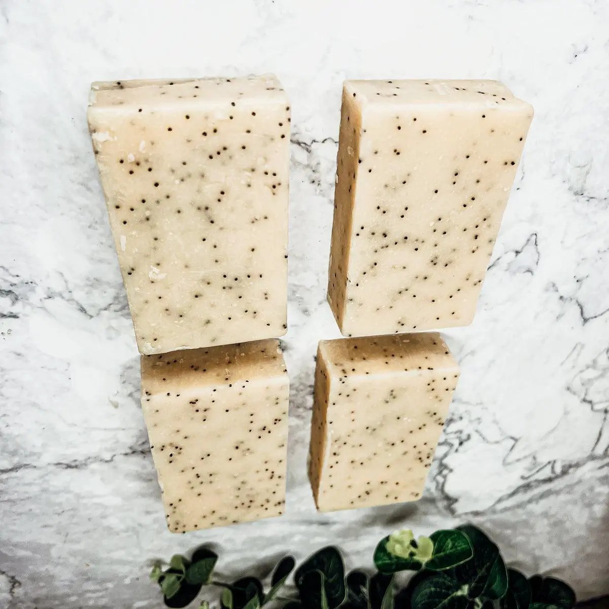 Poppy Seed Exfoliant-Olive-Sunflower - Tampa Home & Garden Store