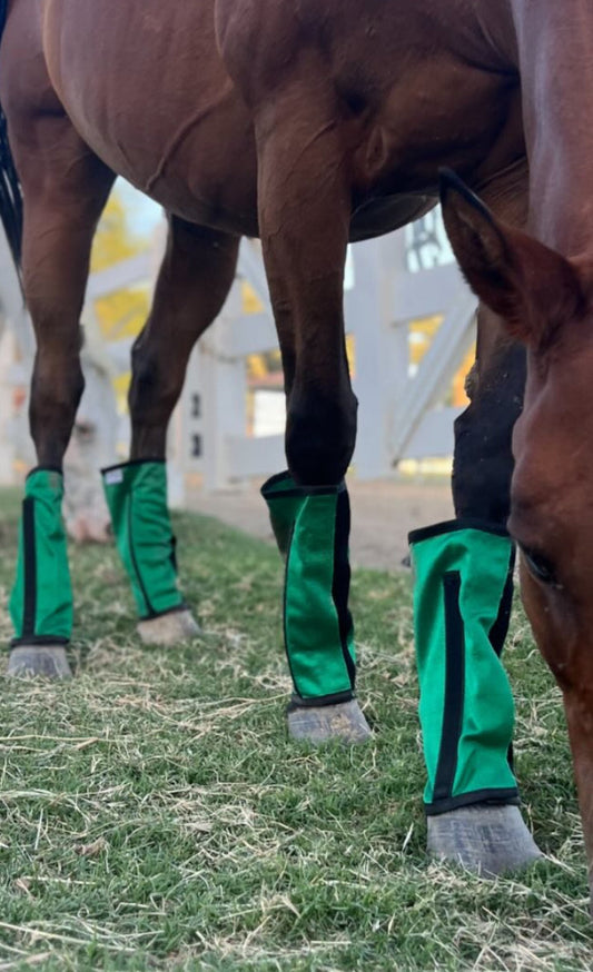 Botas antimoscas para caballos Bye Bye | Botas antimoscas para equinos