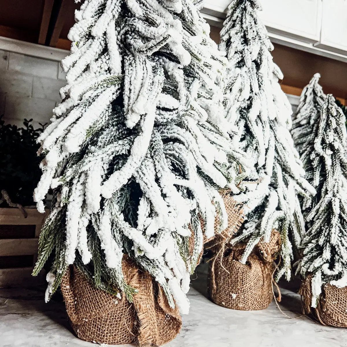 Snow covered trees in burlap pots set of 3, Gia Roma holiday decor on Tampa Home & Garden Store