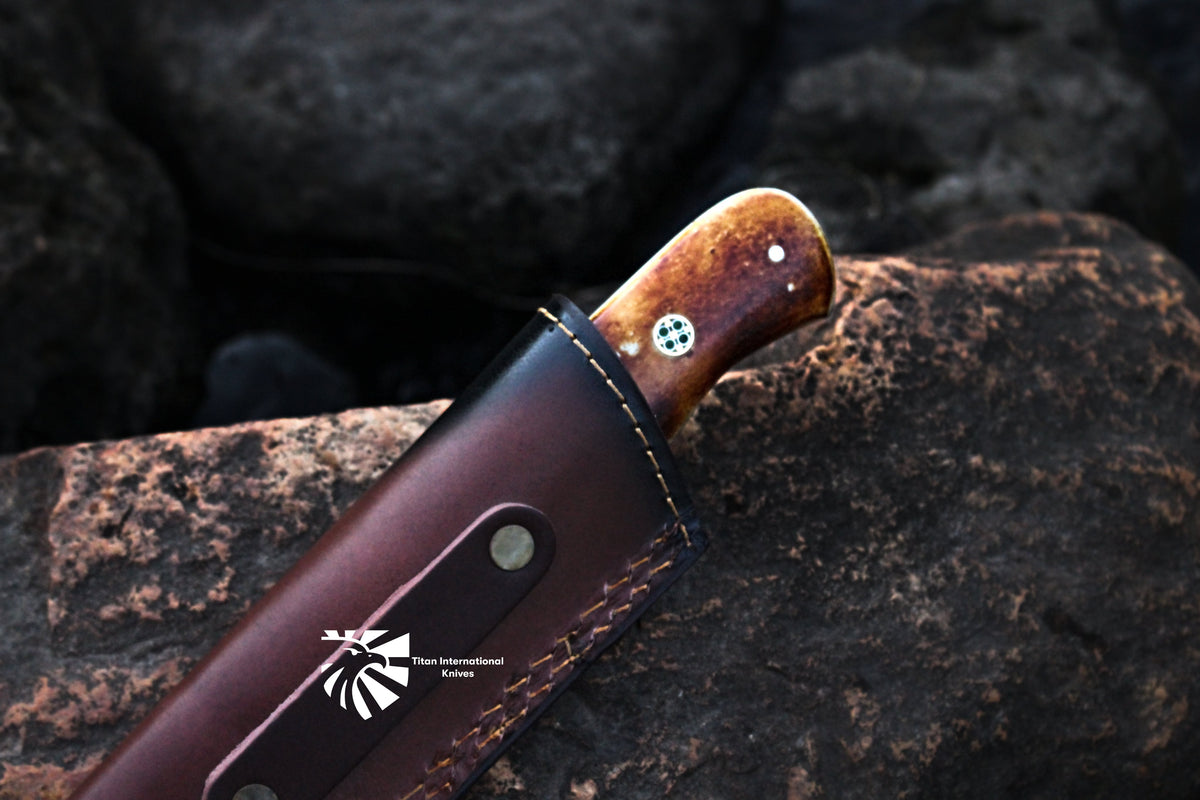 Titan Spade Damascus hunting knife with brown wood handle in leather sheath on Tampa Home & Garden Store