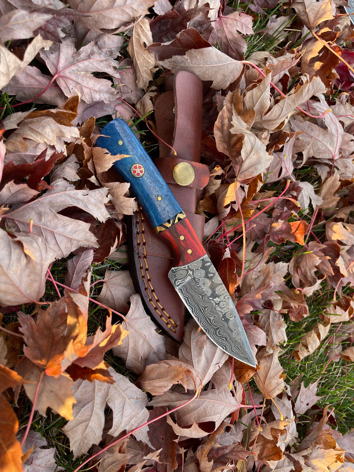 Aurora Blade TK-212 damascus steel knife with brown wood handle and leather sheath by Titan on Tampa Home & Garden Store