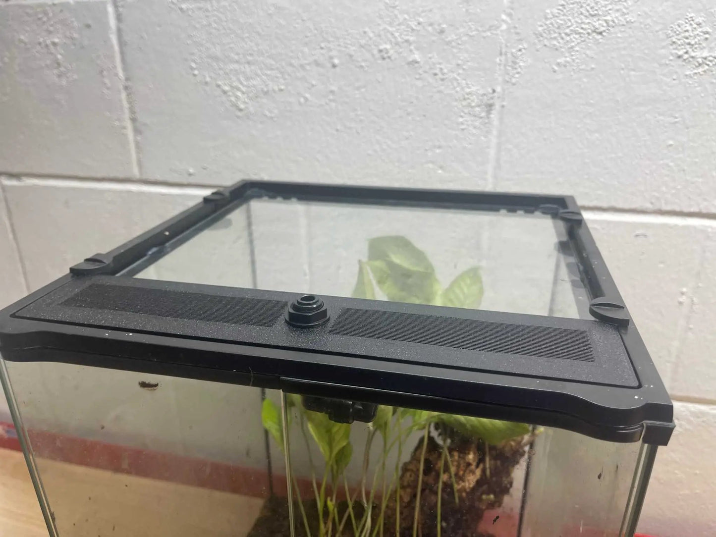 Custom Replacement Top for Exo Terra Terrariums, Thrive Ecosystems, black vented lid on tank on Tampa Home & Garden Store