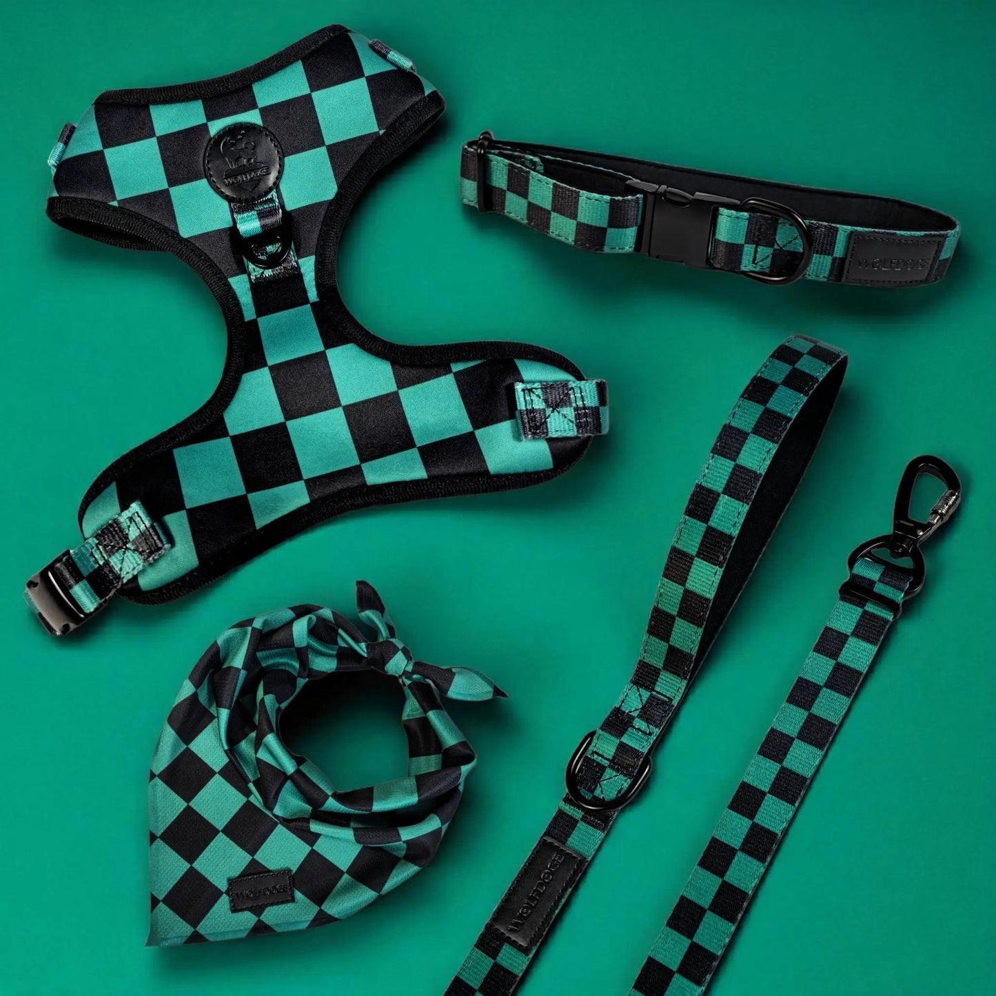 Ichimatsu Checker Leash with Adjustable Length WOLFDOGE; teal/black checker nylon with metal clip on Tampa Home & Garden Store