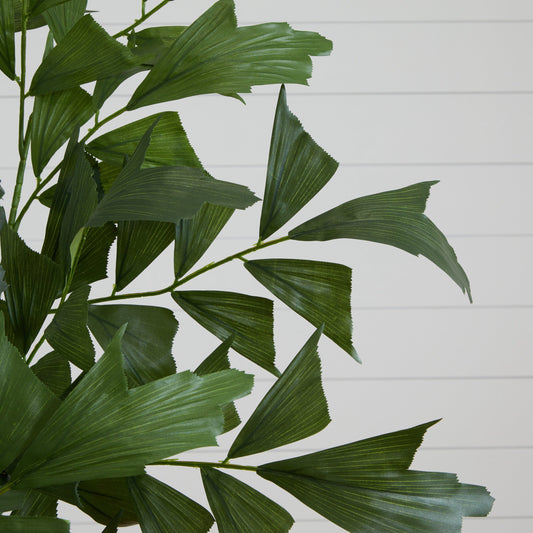 6' Fishtail Palm Tree - Tampa Home & Garden Store