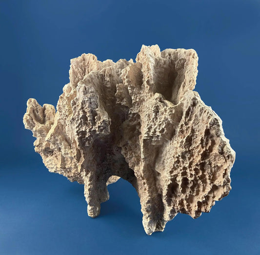 Imitation coral sculpture beige textured rock-like coastal decor for home on Tampa Home & Garden Store