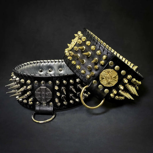 Imperium hand stitched show collar for dogs black leather with gold spikes and studs on Tampa Home & Garden Store
