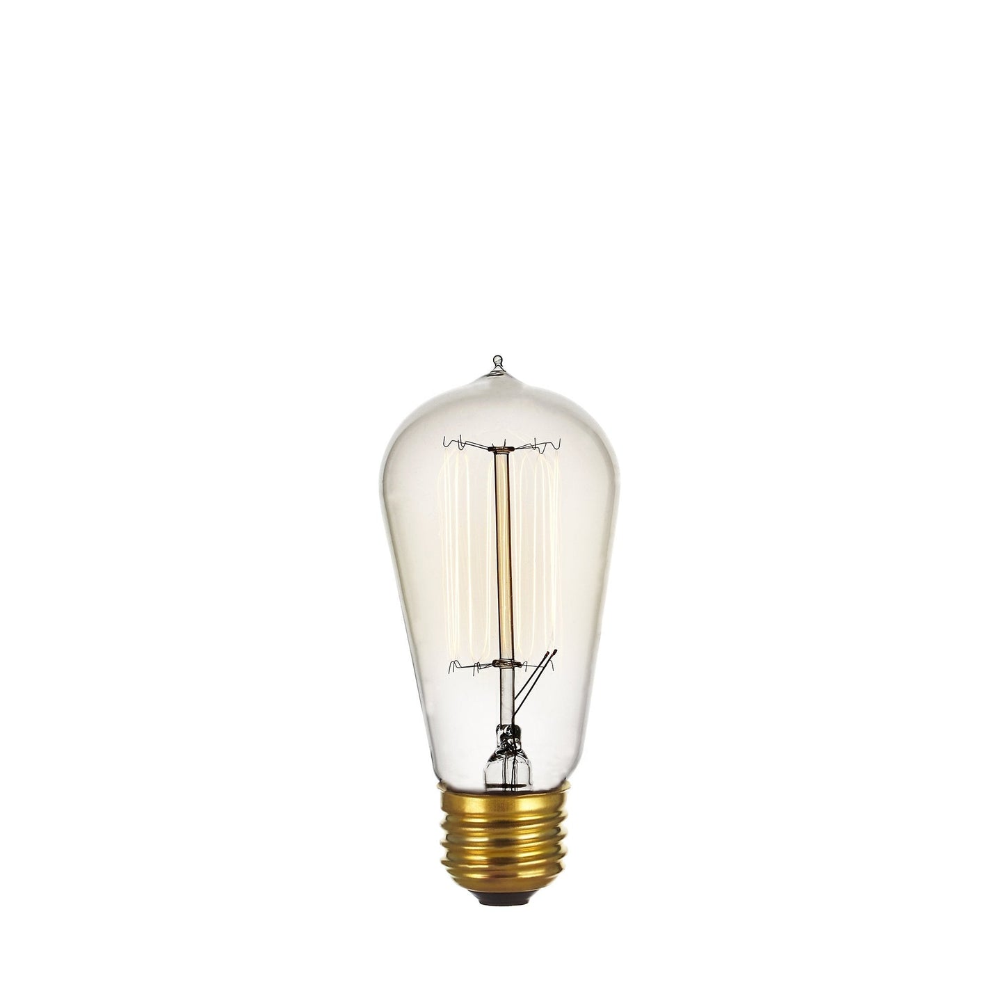 Incandescent Edison Bulb (120/240V) - Tampa Home & Garden Store