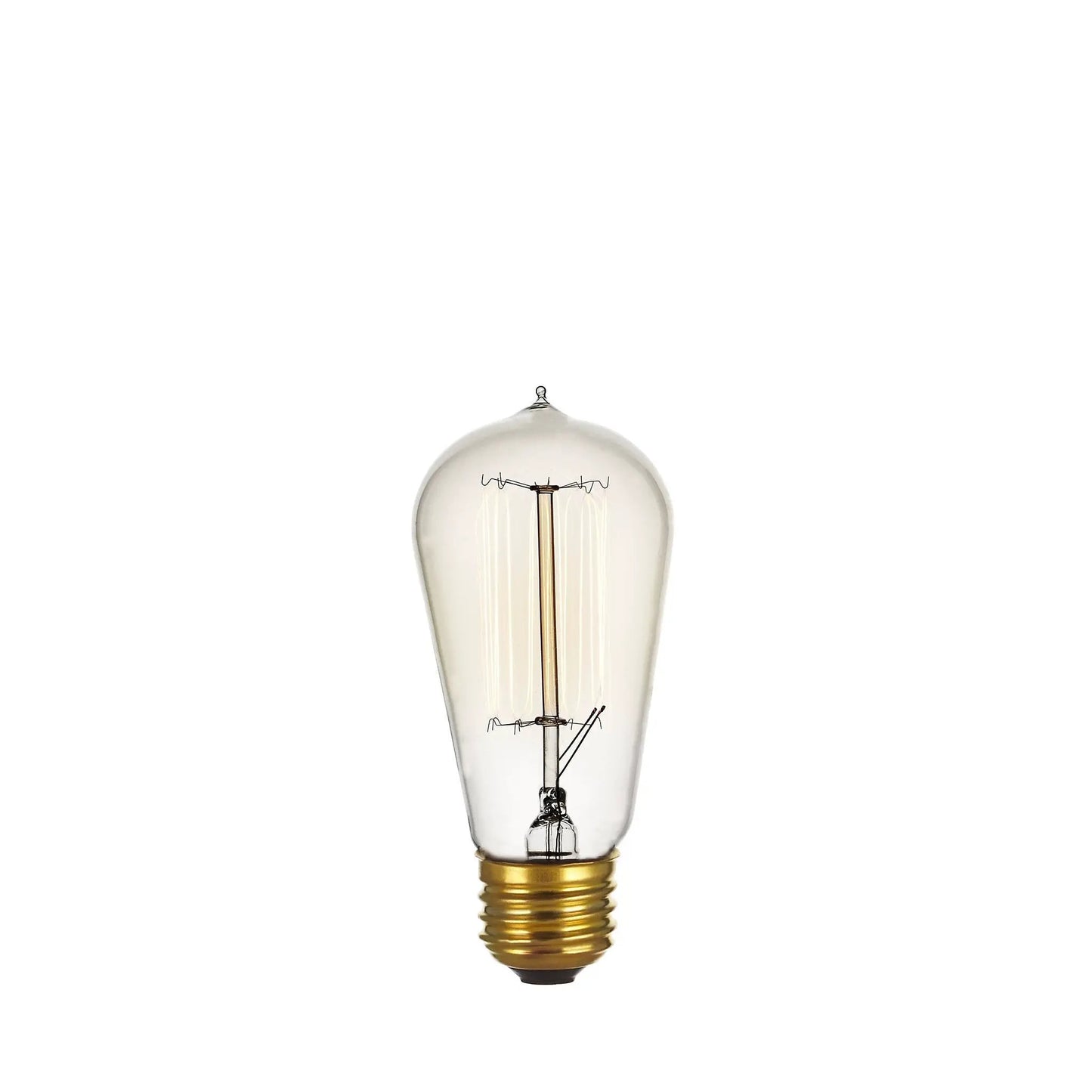 Incandescent Edison Bulb clear glass with brass screw base 120/240V ambient glow on Tampa Home & Garden Store