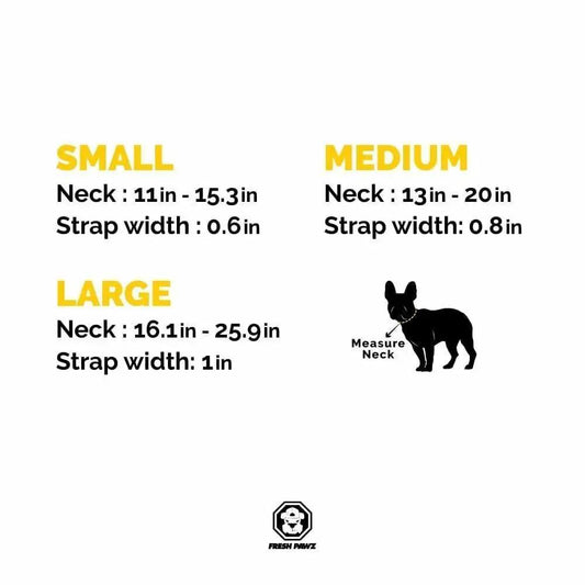 Industrial Belt Collar for Dogs by Furr Baby Gifts with 3 sizes Small/Medium/Large neck ranges on Tampa Home & Garden Store