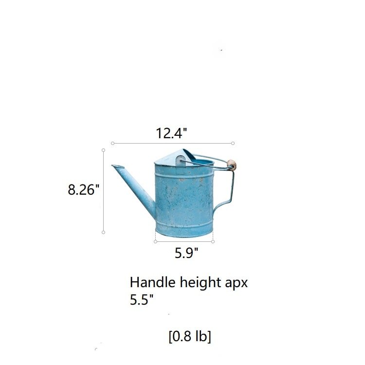 Blue metal watering can by RusticReach with long spout and handle on Tampa Home & Garden Store
